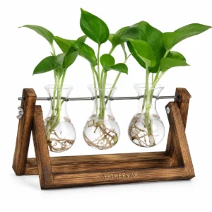 Treeviix | 3 Glass Plant Propagation Station with Wooden Stand