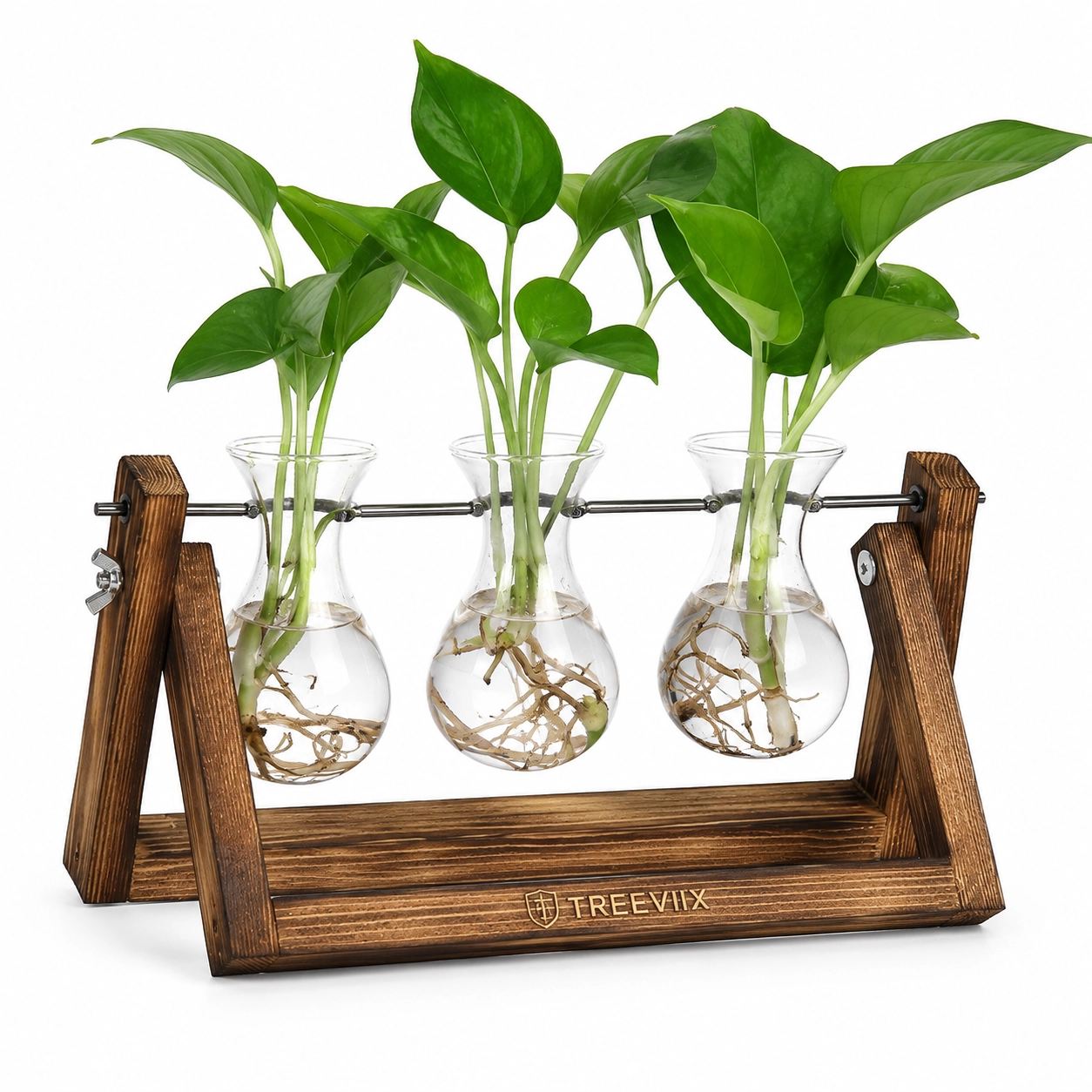 Treeviix | 3 Glass Plant Propagation Station with Wooden Stand