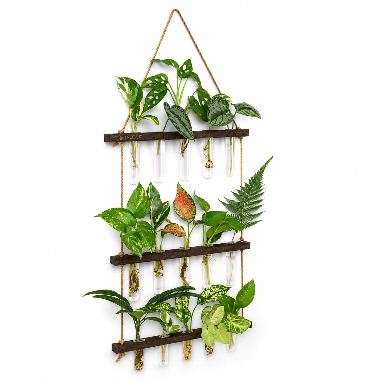 Treeviix | 3-Tier Wall Hanging Plant Propagation Station with 15 Glass Tubes - Image 4