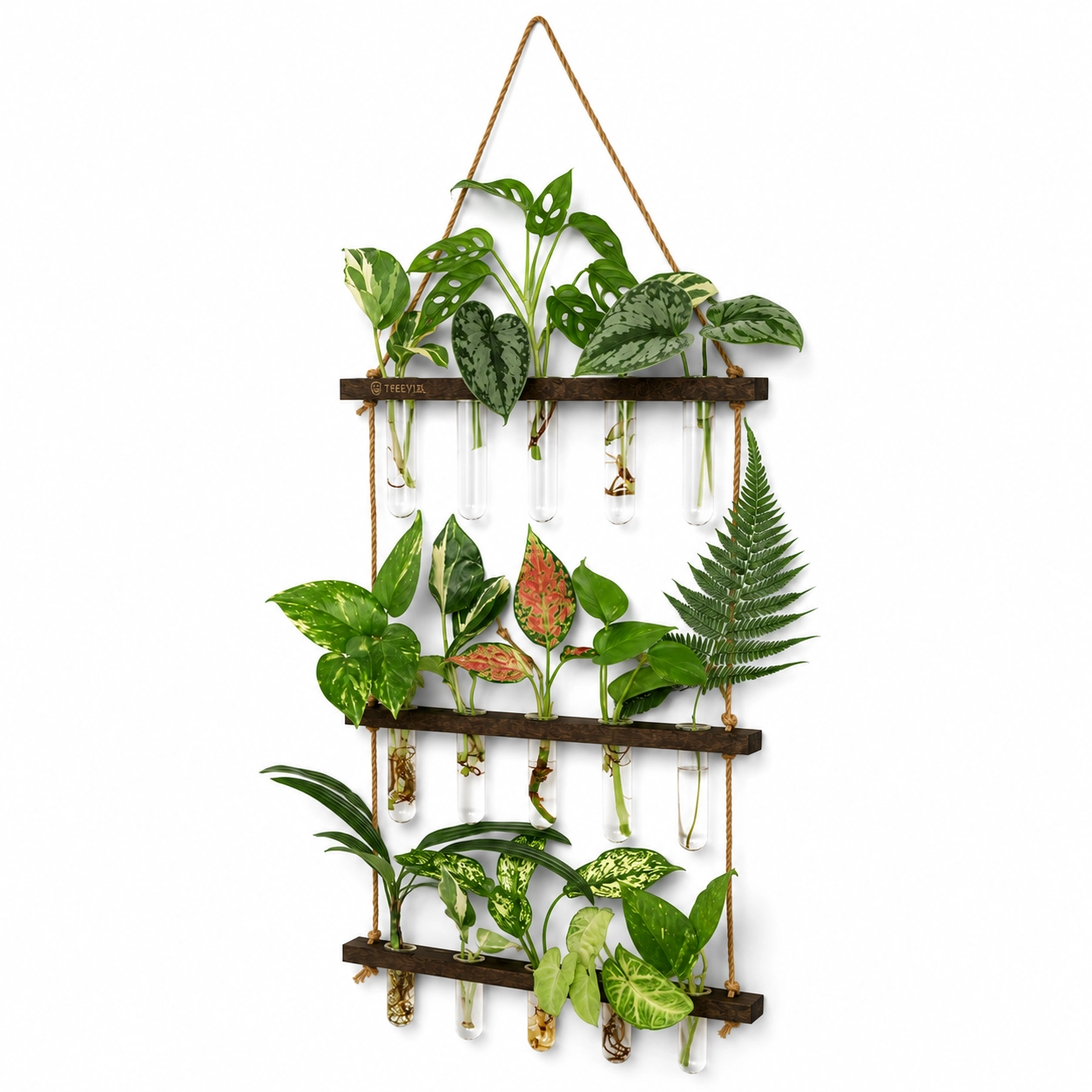 Treeviix | 3-Tier Wall Hanging Plant Propagation Station with 15 Glass Tubes - Image 3
