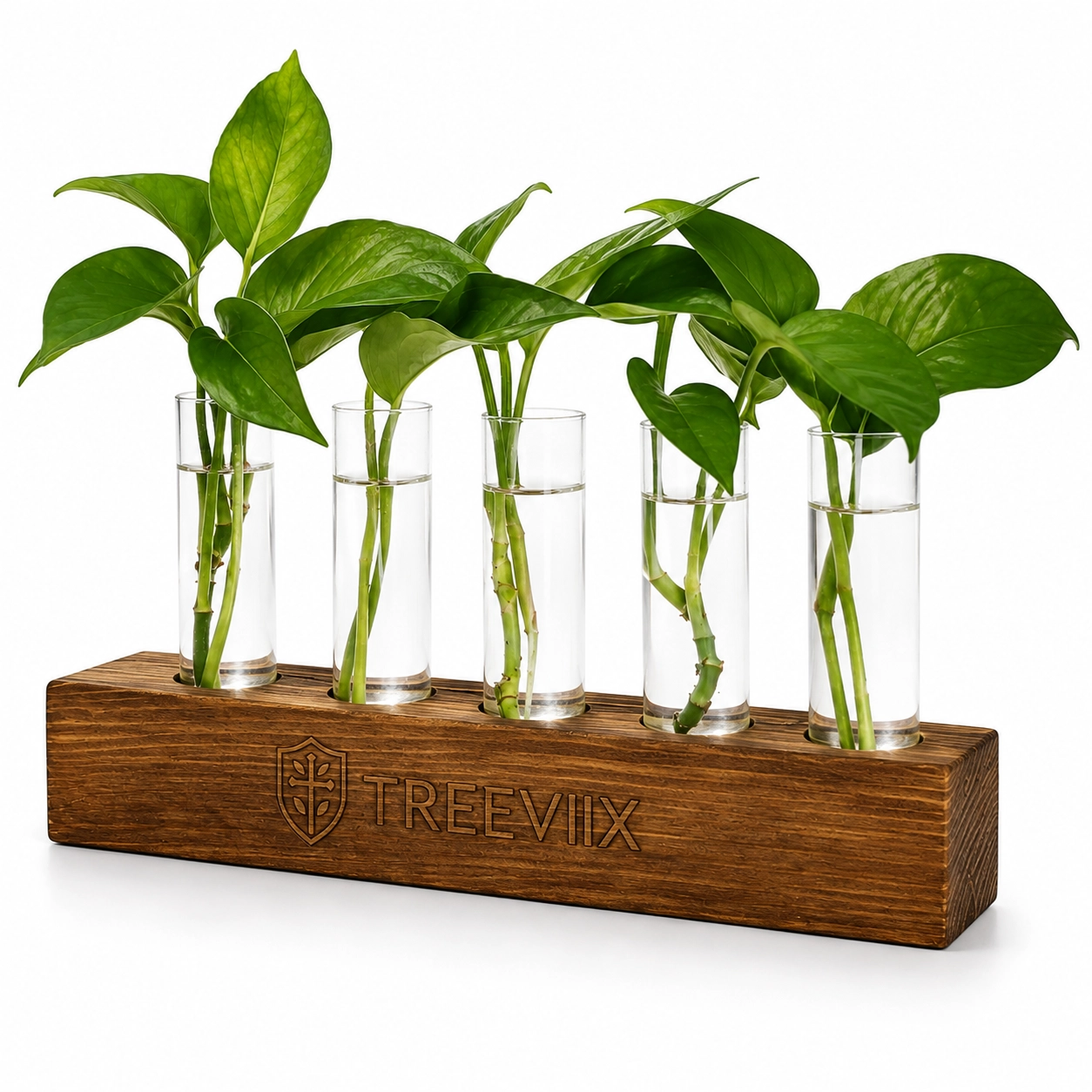 Treeviix | Plant Propagation Station with Wooden Stand & 5 Glass Tubes - Image 3