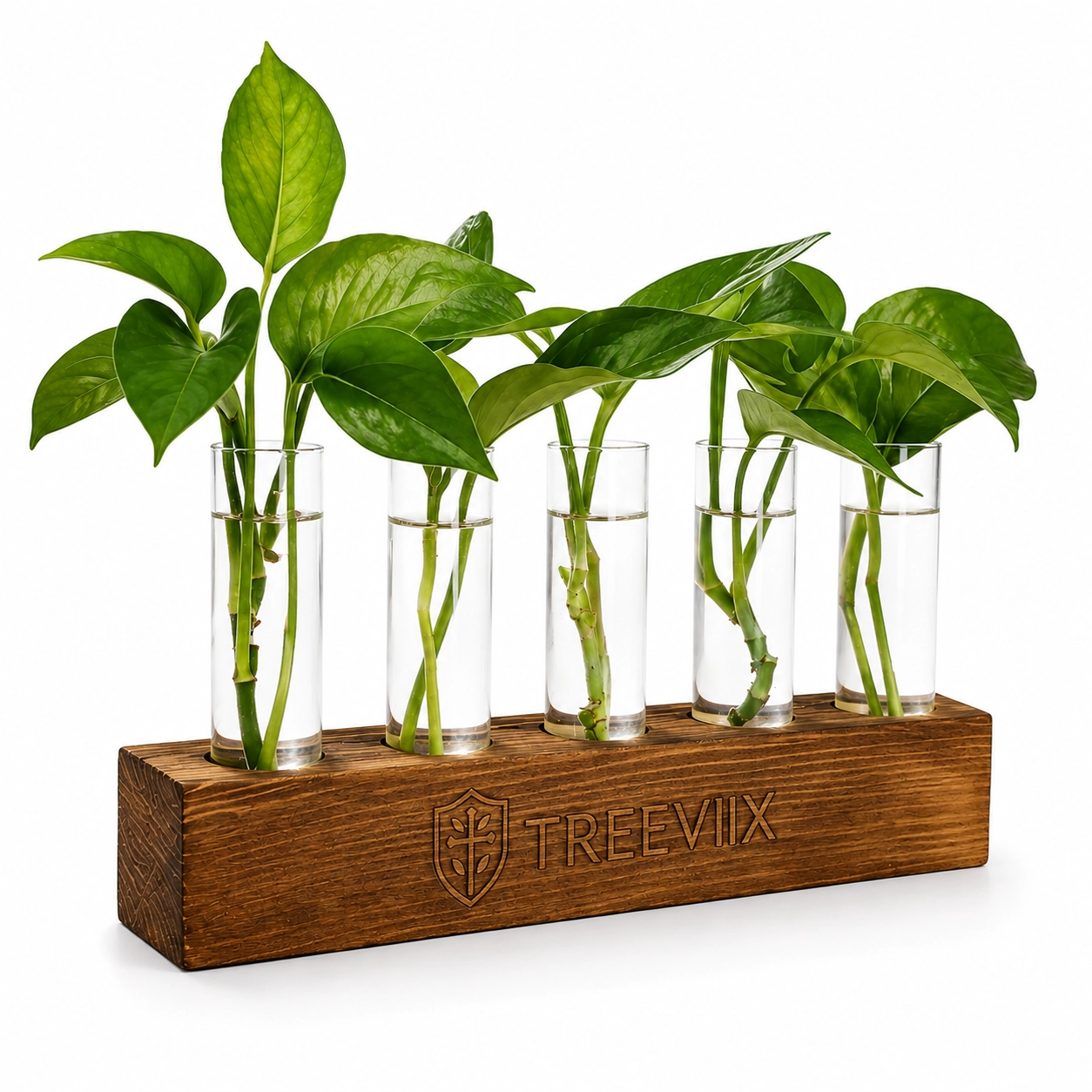 Treeviix | Plant Propagation Station with Wooden Stand & 5 Glass Tubes - Image 2