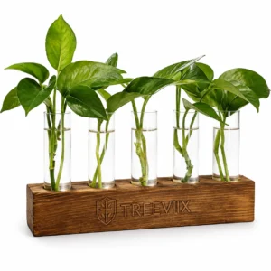 Treeviix | Plant Propagation Station with Wooden Stand & 5 Glass Tubes