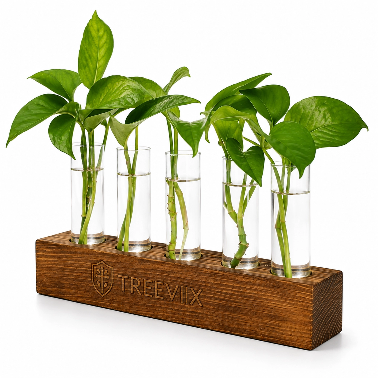 Treeviix | Plant Propagation Station with Wooden Stand & 5 Glass Tubes - Image 4