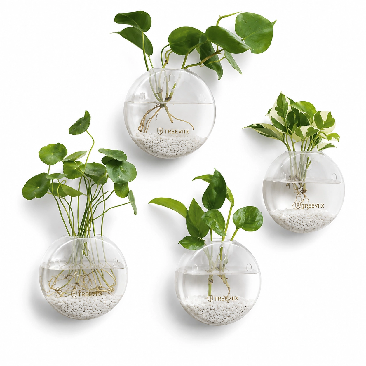 Treeviix | Wall Hanging Glass Plant Propagation Station (Set of 4) - Image 4