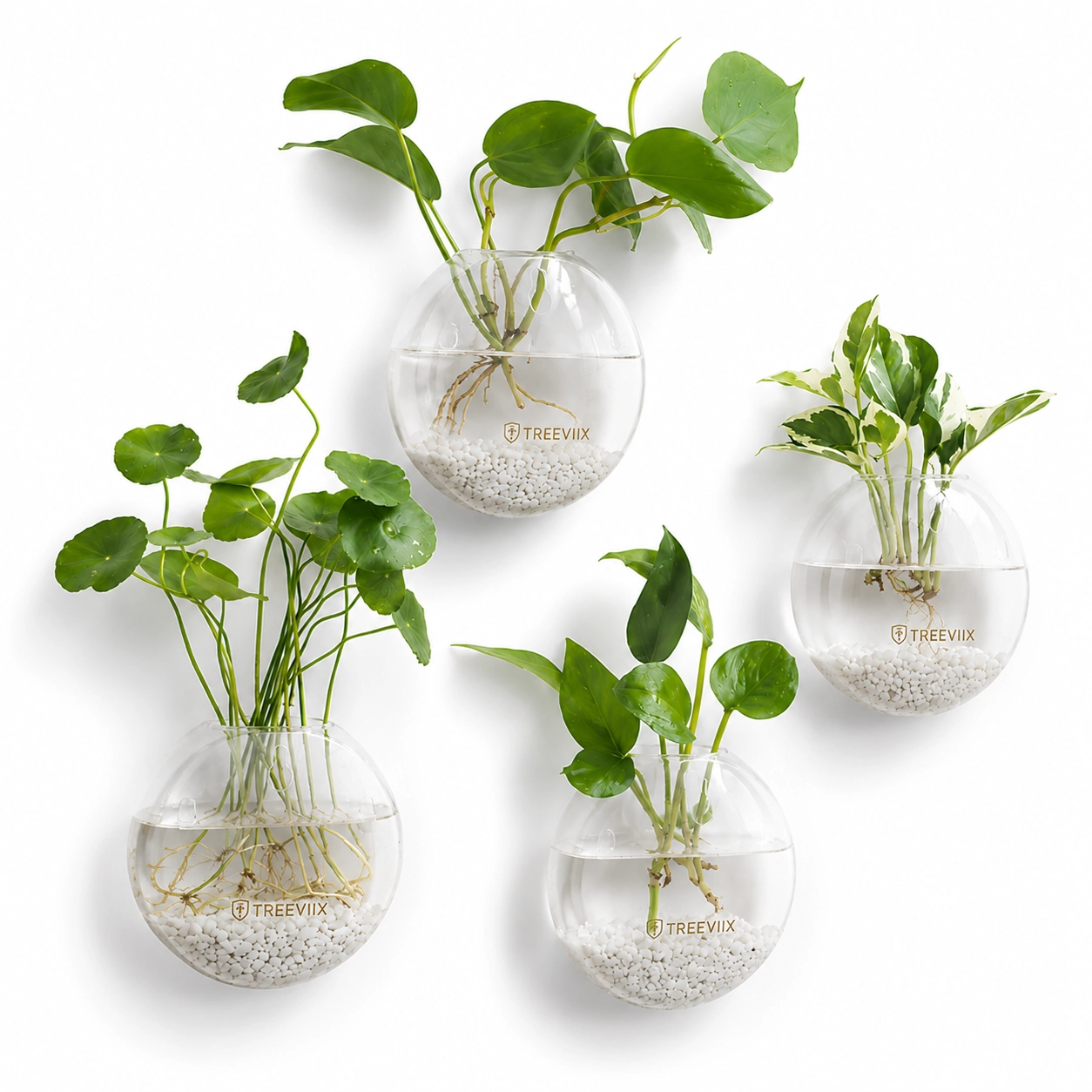 Treeviix | Wall Hanging Glass Plant Propagation Station (Set of 4) - Image 3