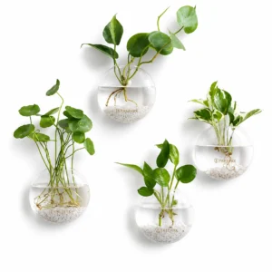 Treeviix | Wall Hanging Glass Plant Propagation Station (Set of 4)