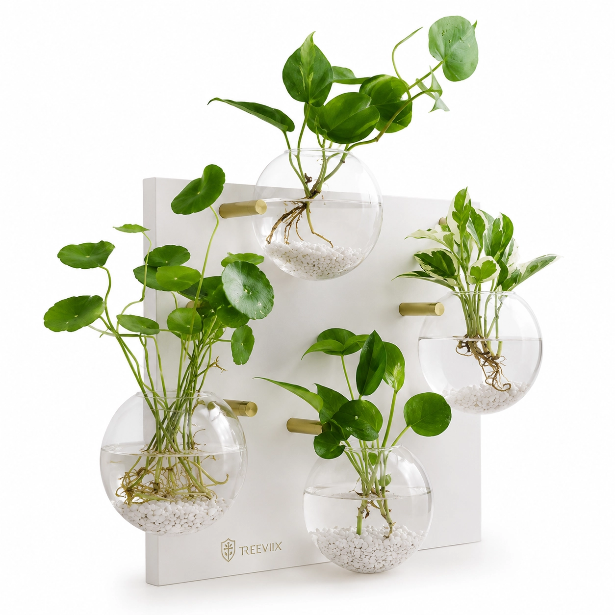 Treeviix | Wall Hanging Glass Plant Propagation Station (Set of 4) - Image 2